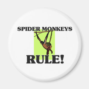 SPIDER MONKEYS Rule! Magneet
