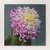 Spider Mum Puzzle (Vertical)