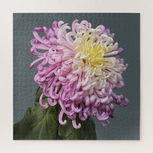 Spider Mum Puzzle (Vertical)