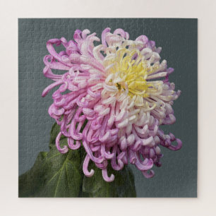 Spider Mum Puzzle Legpuzzel