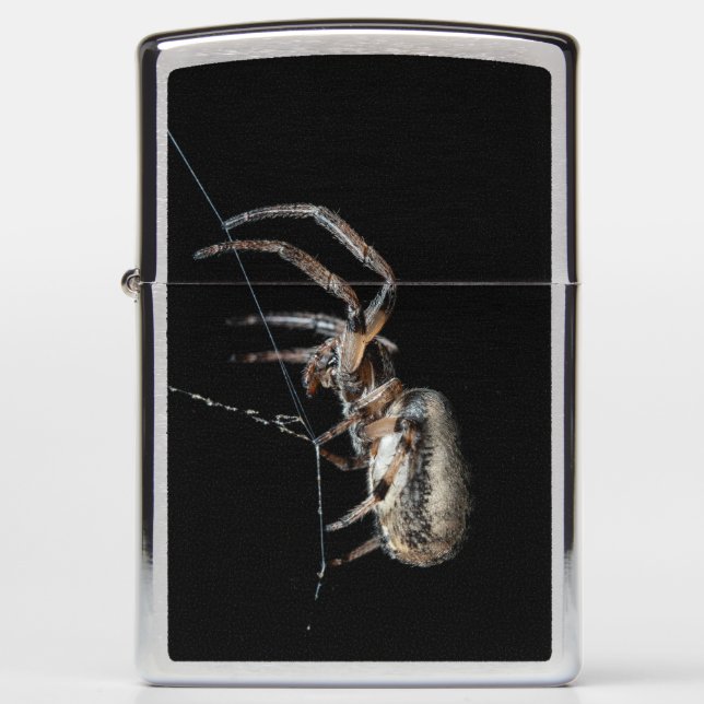 Spider op internet (Voorkant)