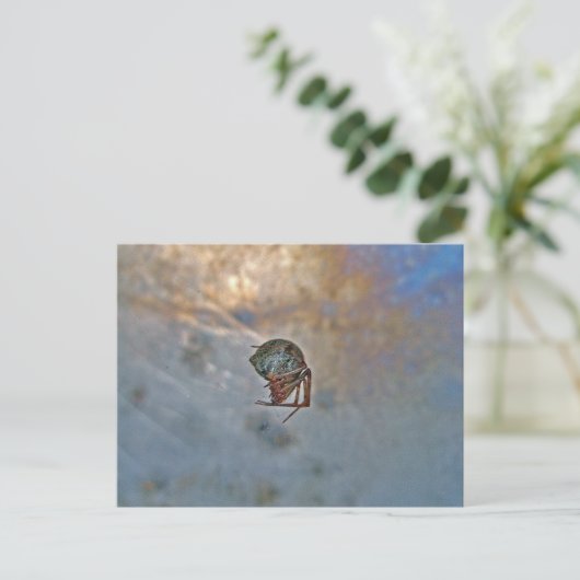 Spider op internet briefkaart (Staand voorkant)