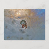 Spider op internet briefkaart (Voorkant)