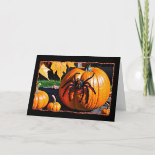 Spider op pompoen Halloween Kaart