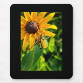 Spider op Sunflower Mousepad Muismat