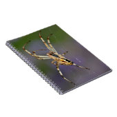 Spider op zijn cobweb notitieboek (Rechterzijde)