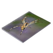 Spider op zijn cobweb notitieboek (Linkerzijde)