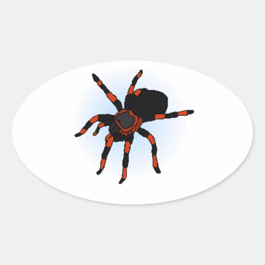 Spider Ovale Sticker (Voorkant)