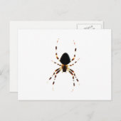 Spider PCNM Briefkaart (Voorkant / Achterkant)