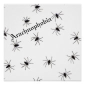 Spider Perfect Poster (Voorkant)