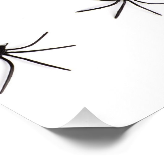 Spider Perfect Poster (Hoek)