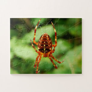 Spider Puzzle voor kinderen Legpuzzel