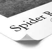 Spider Rock, Canyon de Chelly Poster (Hoek)