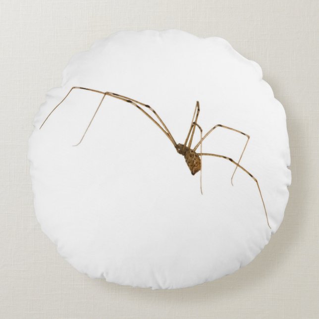 Spider Rond Kussen (Voorkant)