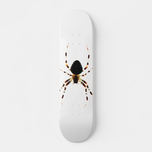 Spider scan skateboard (Voorkant)
