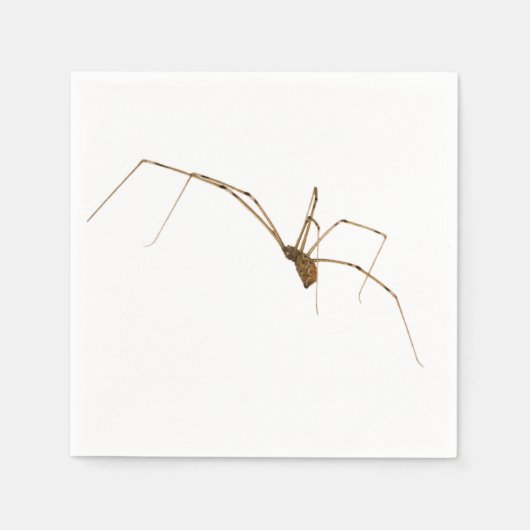 Spider Servetten (Voorkant)