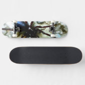 Spider Skateboard (Horz)