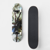 Spider Skateboard (Recto)