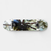 Spider Skateboard (Horz)