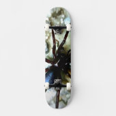 Spider Skateboard (Recto)