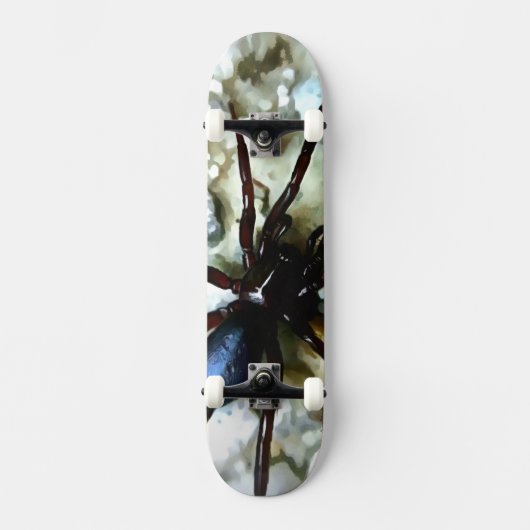 Spider Skateboard (Recto)