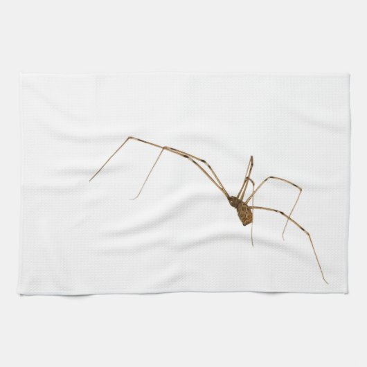 Spider Theedoek (Horizontaal)