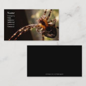 Spider - Visitekaartjes (Voorkant / Achterkant)