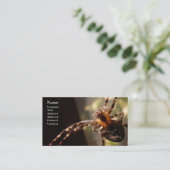 Spider - Visitekaartjes (Staand voorkant)