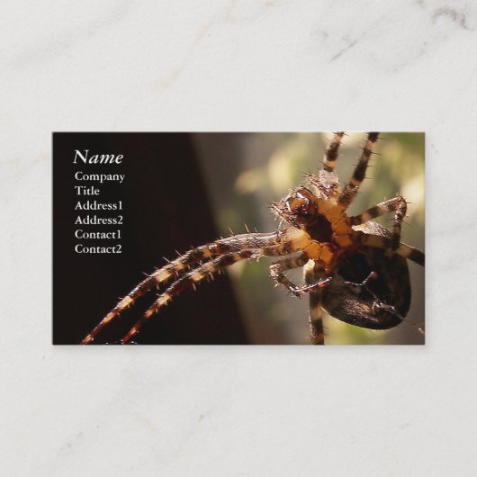 Spider - Visitekaartjes (Voorkant)