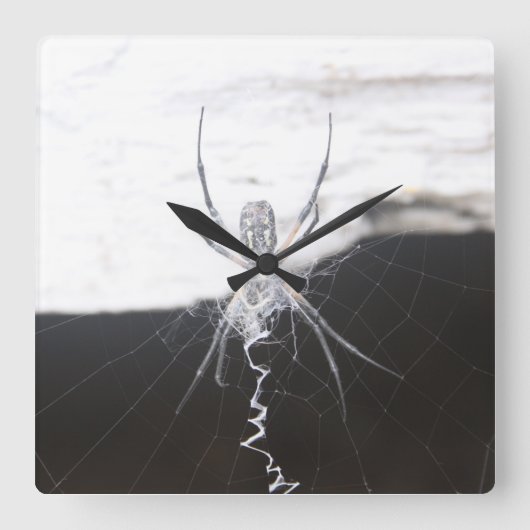 Spider Wall klok (Voorkant)