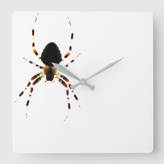 Spider - Wandklok Vierkante Klok (Voorkant)