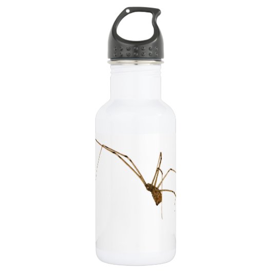 Spider Waterfles (Voorkant)