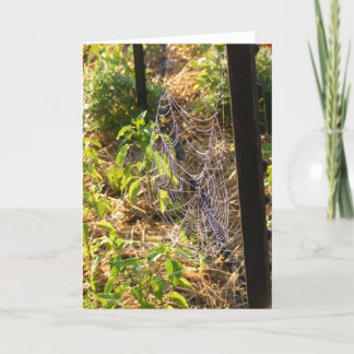 Spider Web and Dew Drops Card (Blank) Kaart