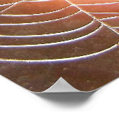 Spider Web at Night Photography Arachnology Poster (Hoek)