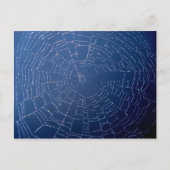 Spider Web Briefkaart (Voorkant)