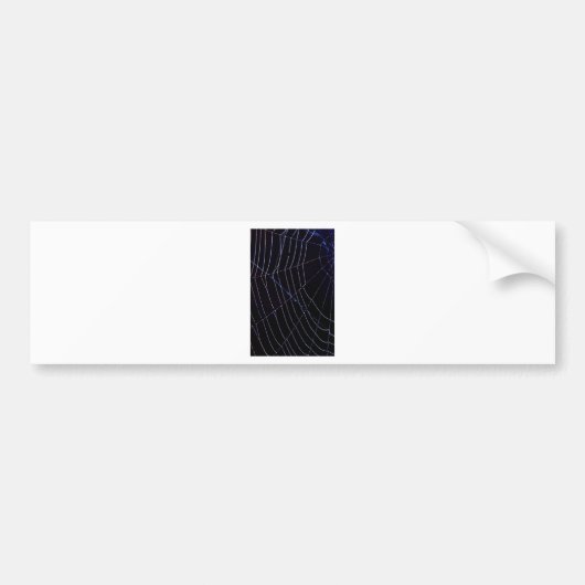 Spider Web Bumpersticker (Voorkant)