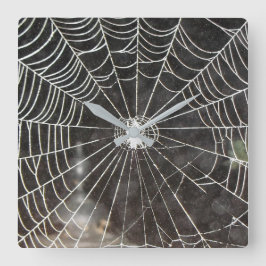 Spider Web Clock Arachnology Vierkante Klok