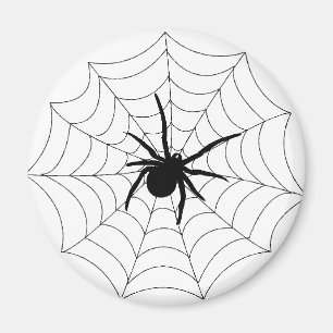 Spider Web Design Magneet