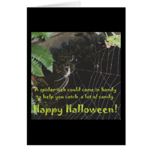 Spider & Web Halloween Kaart