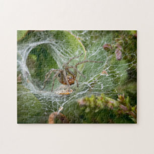 Spider Web Insect Wildlife Jigsaw Puzzle