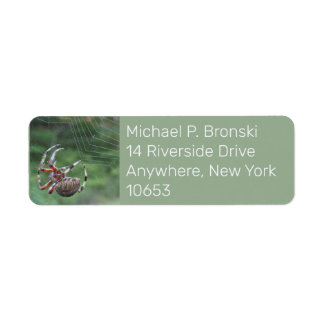 Spider web internet return address label