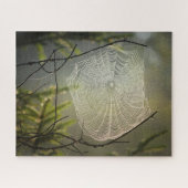 Spider Web Jigsaw Puzzle (Horizontal)