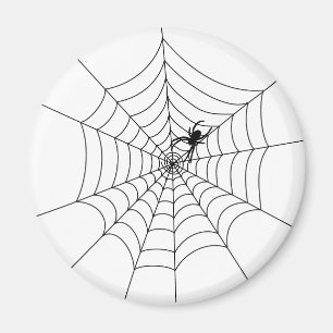 Spider Web Magnet