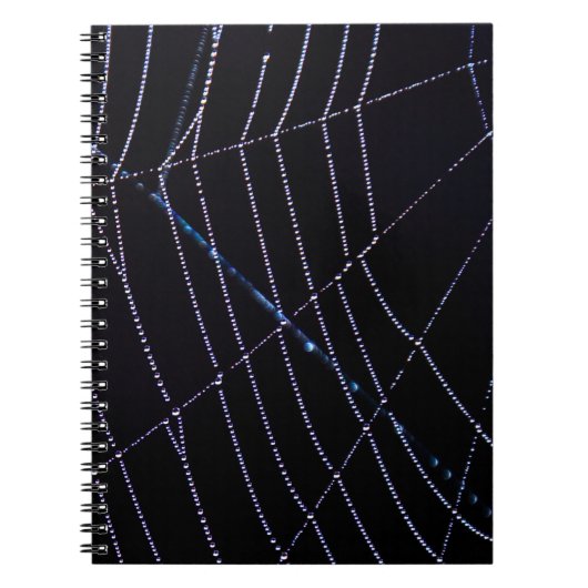 Spider Web Notitieboek (Voorkant)
