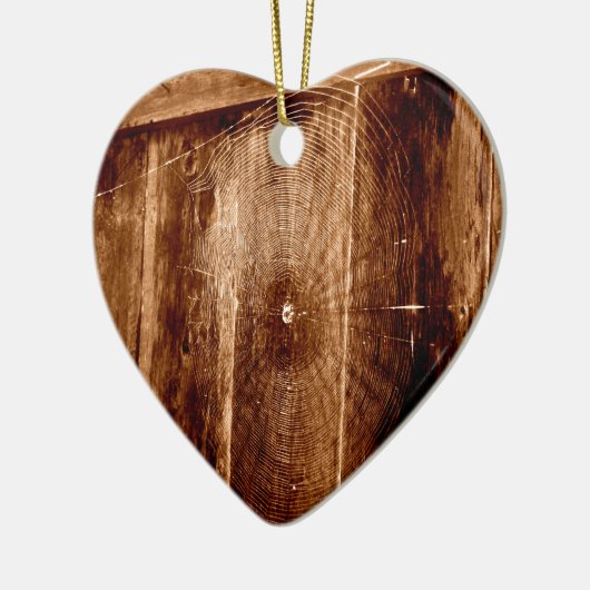 Spider Web on Fence Keramisch Ornament (Links)