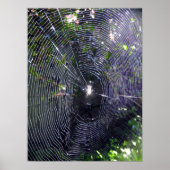 Spider Web Poster (Voorkant)