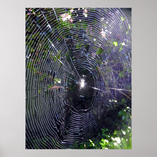Spider Web Poster (Voorkant)
