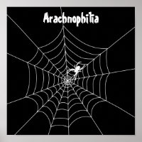 Spider Web Poster