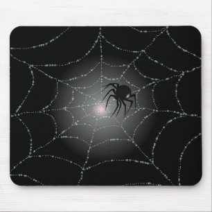 SPIDER WEB & SPIDER, SHARON SHARPE MUISMAT