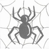 Spider Web Sticker (Voorkant)